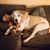 Tiffany Marie Rickard's profile image