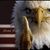 Harry Eckman's profile image
