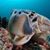 Beth Potthoff's profile image