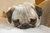 Paul B.'s profile image