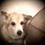 Stephanie Haney's profile image