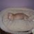 Sue James's profile image