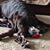 Joanne Fowkes Verdin's profile image