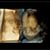 Suzie Bradshaw's profile image