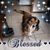 Cheryl Hughes's profile image
