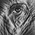 Maria Grazia Sanzo''s profile image
