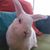 Cat Logsdon's profile image