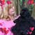 Tracy Greene's profile image
