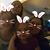 Kristy Volk's profile image