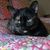 Jerry Schroy's profile image
