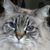 Jill Holmes's profile image