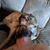 Will Nipper's profile image