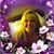 Wanda Kelley Kaltenbach's profile image