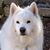 Nancy Radebaugh's profile image