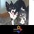 Karat PH's profile image
