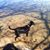 Suzanne Moneyheffer-brock's profile image