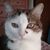 Helen Coe's profile image