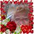 Deborah Thompson Adams's profile image