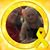 Robert D. Lausche's profile image