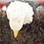 John Osyp Prigun's profile image