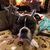 Tracy Geier's profile image