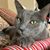 Glori Ann Mauro's profile image
