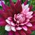 Mary Ritenour's profile image