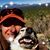 Keri Postlewait's profile image