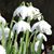 Tammie M Griffith's profile image