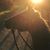 Tobie Dollosso's profile image