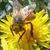 David Bracken's profile image