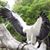 David Brunshwiler's profile image