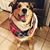 Jenny Schuster's profile image