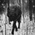 Scott Brunn's profile image