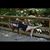 Cienna Thompson's profile image