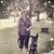 Elisabeth Henning's profile image