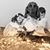 Andrea DeGaetano Wallace's profile image