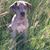 Jonathan Vanderploeg's profile image