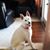 Betina Elia's profile image