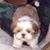 Shorty Y's profile image