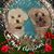 Katie Kilmartin's profile image