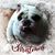 Bernadette Kasacek's profile image
