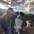 Shelly Jordan's profile image