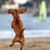 Cathy Carlisle's profile image
