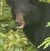 Robert Haning's profile image