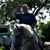 Patricia W. Cole-Salisbury's profile image