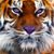 Paul R. Anderson's profile image