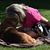 Anne Gannaway White's profile image