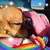 Roberta Irwin's profile image