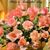 Linda Matlock's profile image